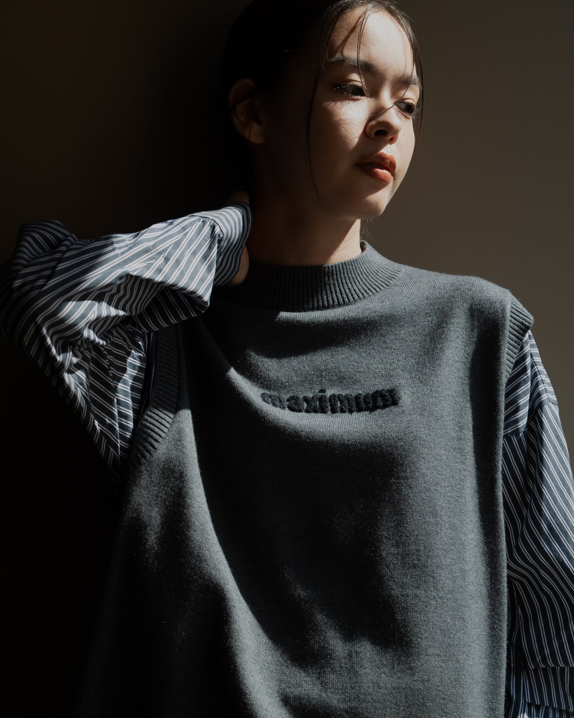 ストライプスリーブ ロゴプルオーバー – STYLE RAVIE